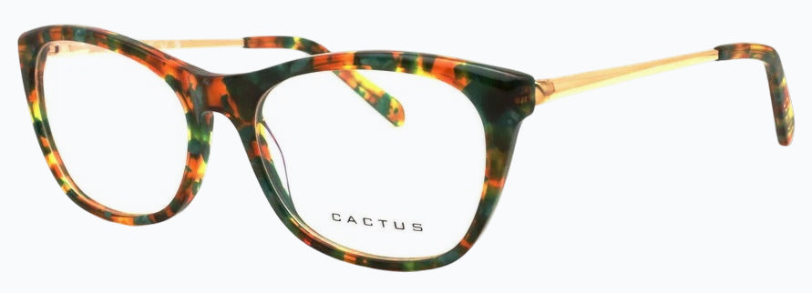 Cactus Tranquility