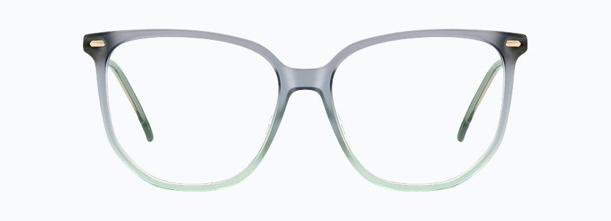 Carrera CA3025