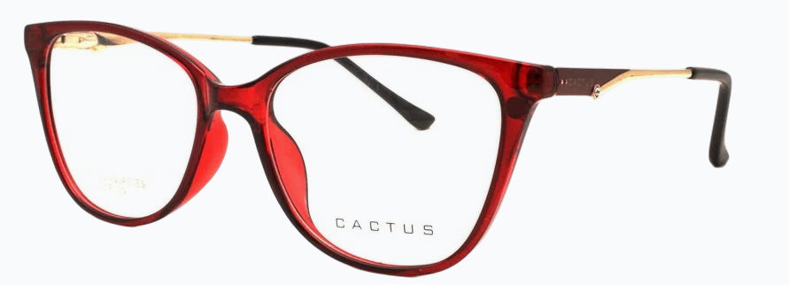 Cactus Cascade