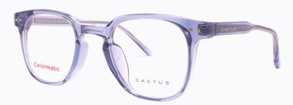 Cactus 52607