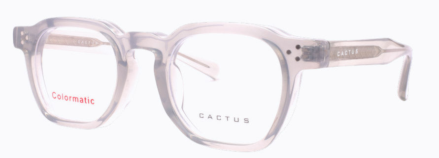 Cactus 52608