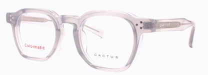 Cactus 52608