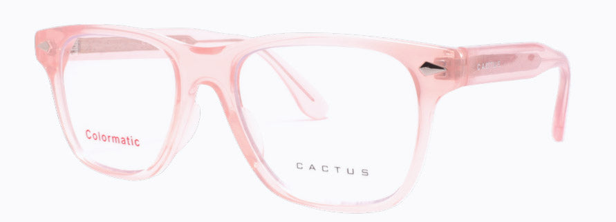Cactus 52610
