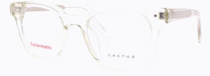 Cactus 56211