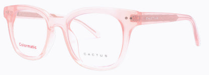 Cactus 56211