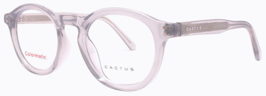 Cactus 52612