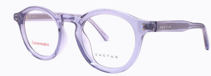 Cactus 52612