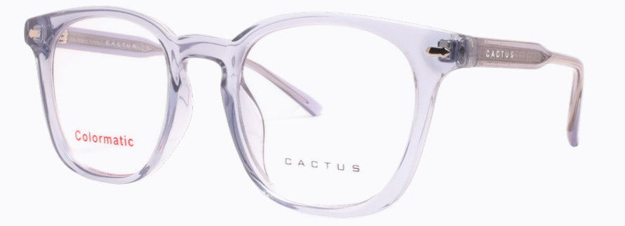 Cactus 52613