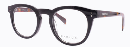 Cactus Solace