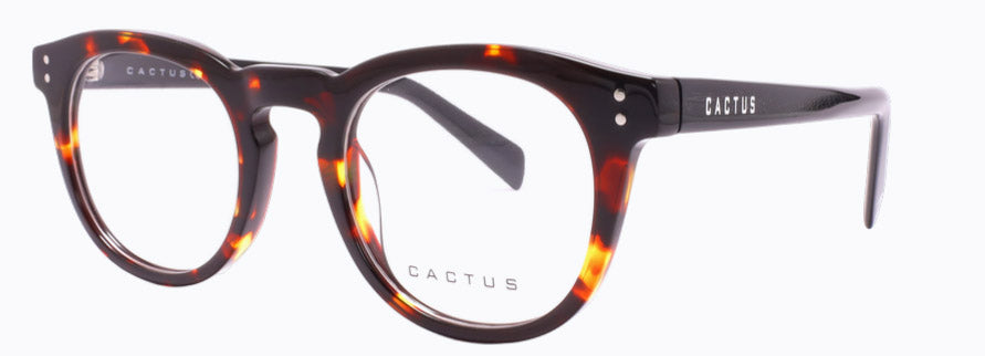 Cactus Solace
