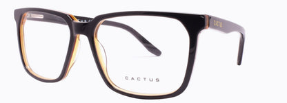 Cactus Willow
