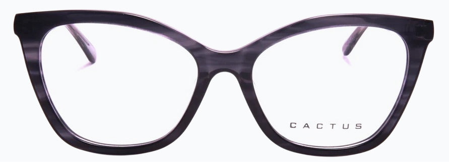Cactus 28083