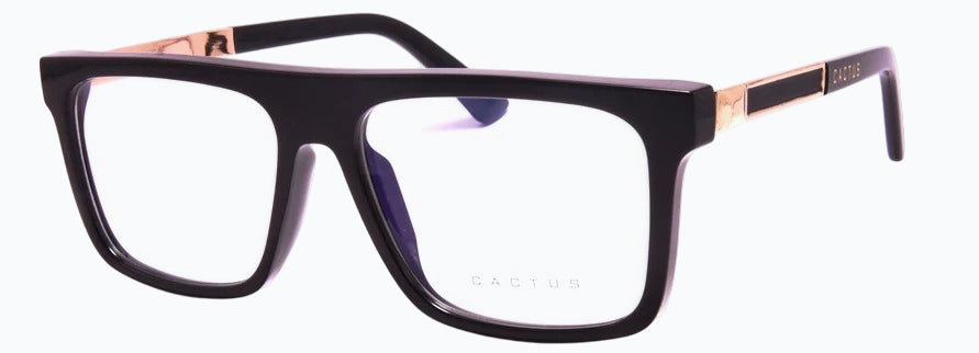 Cactus 93502