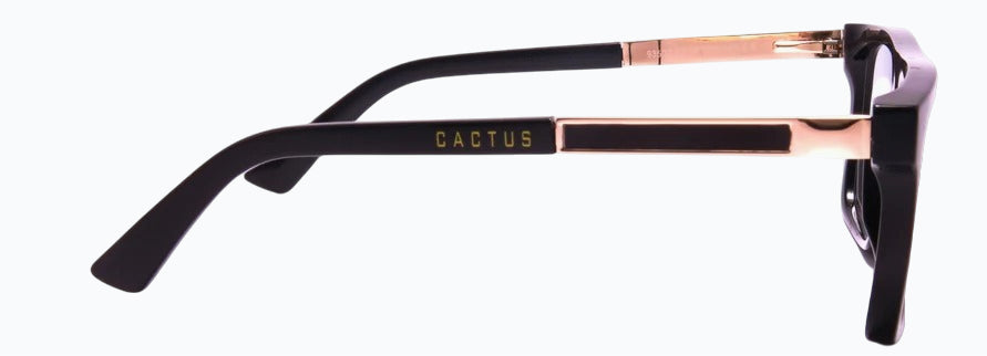 Cactus 93502