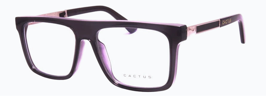 Cactus 93502