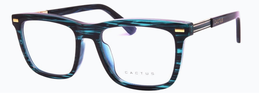 Cactus 93516
