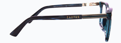 Cactus 93516