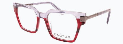 Cactus Aanchi