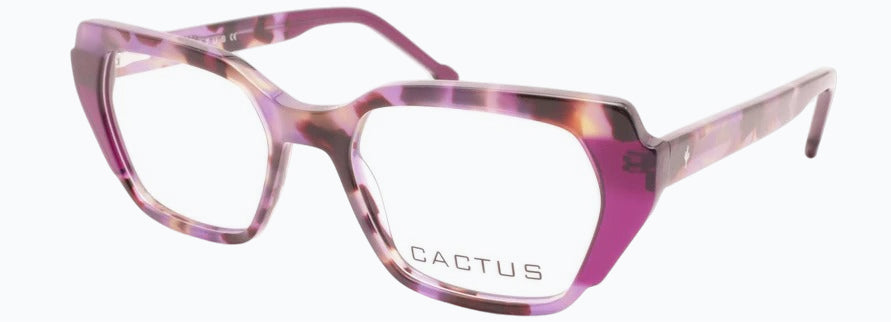 Cactus Chacha