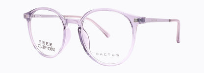 Cactus Quintessence