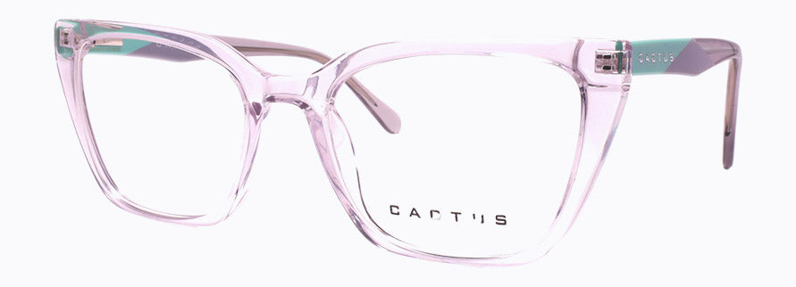 Cactus RY202502