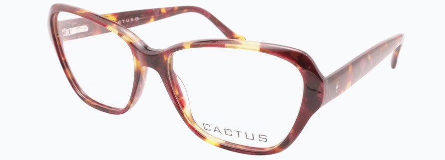 Cactus Salsa