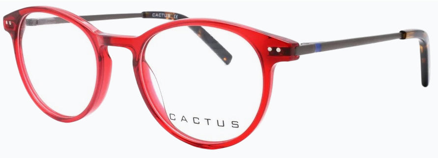 Cactus Diniz