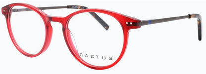 Cactus Diniz