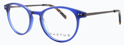 Cactus Diniz