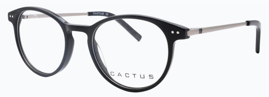 Cactus Diniz