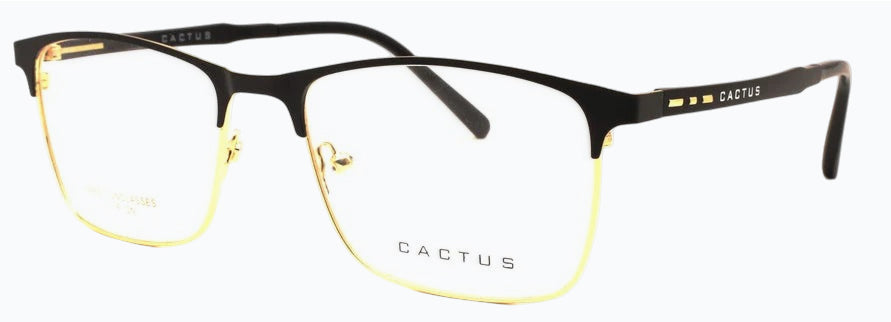 Cactus Dreamer