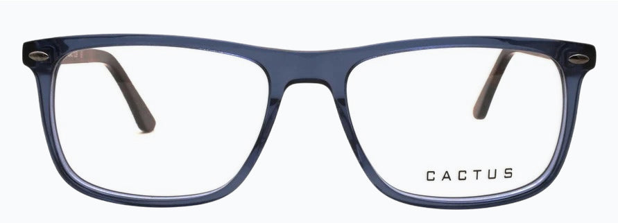Cactus Elegance