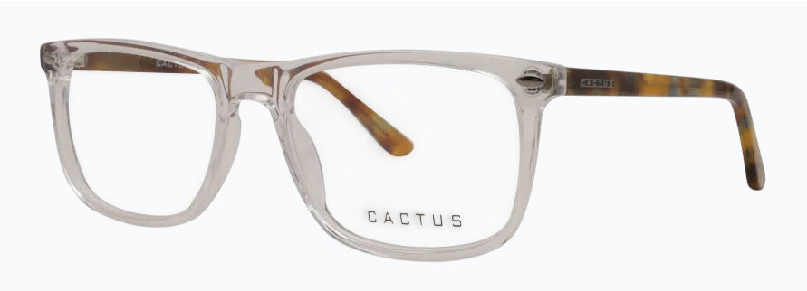 Cactus Elegance