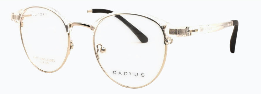 Cactus Flair