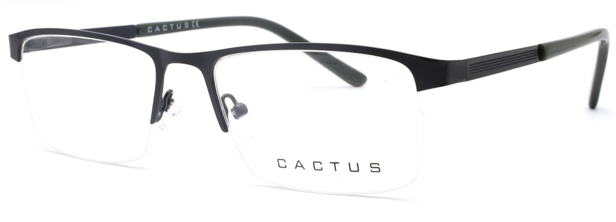 Cactus Illusion