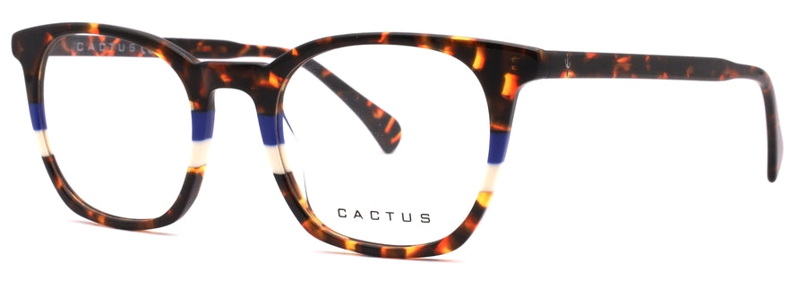 Cactus Infinity