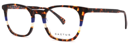 Cactus Infinity