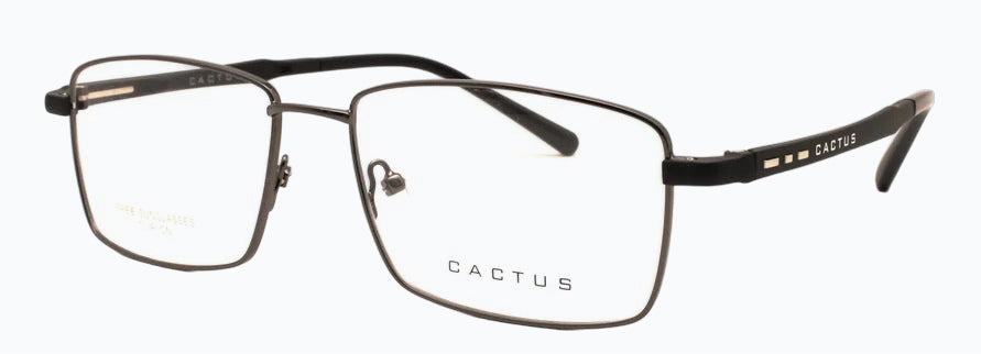 Cactus Journeyman