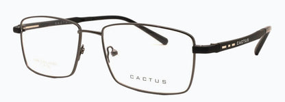 Cactus Journeyman