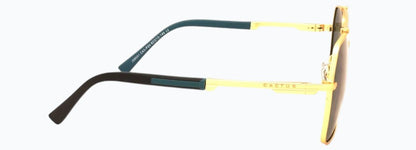 Cactus JS8551