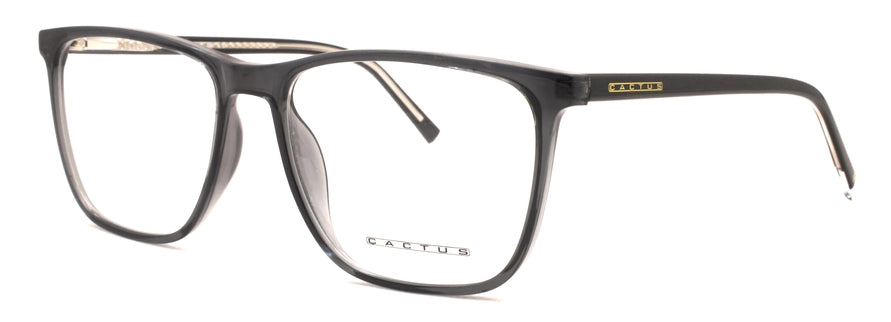Cactus LE23009
