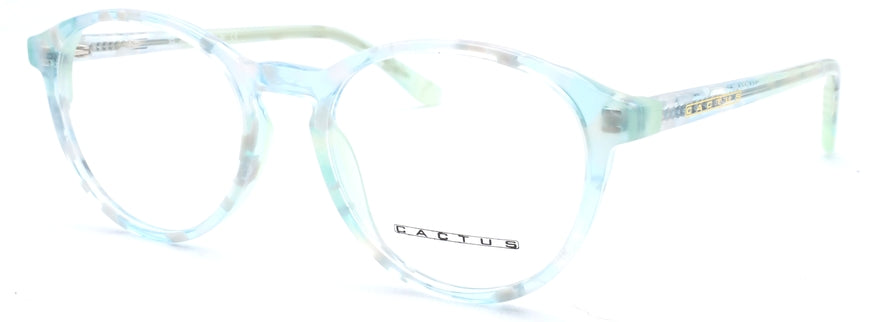 Cactus ME008