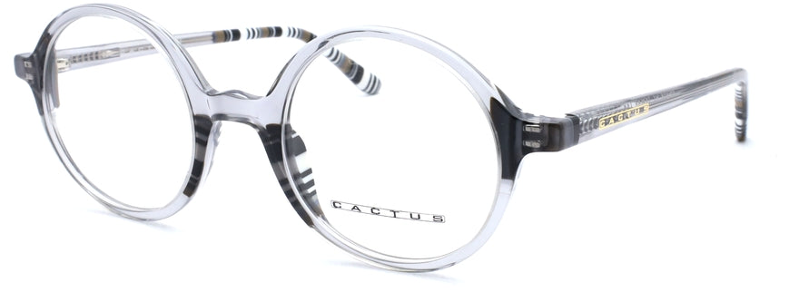 Cactus ME018