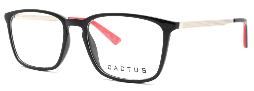 Cactus Napoli