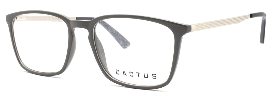 Cactus Napoli