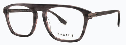 Cactus Nexus