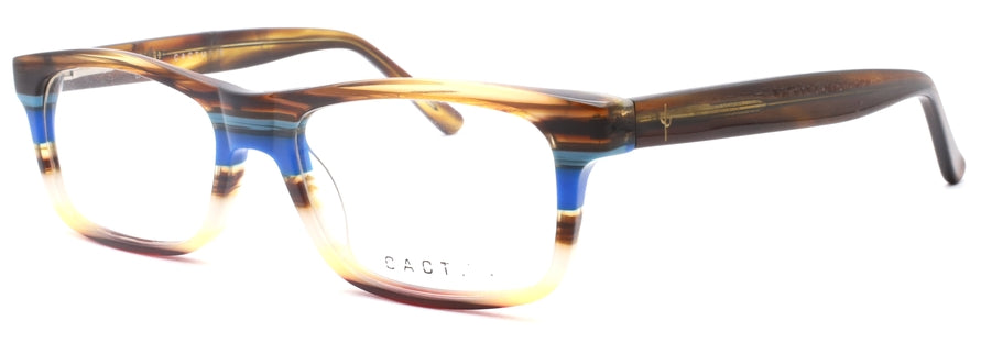 Cactus OLS2215-1