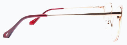 Optica 95608