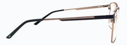 Optica Fate