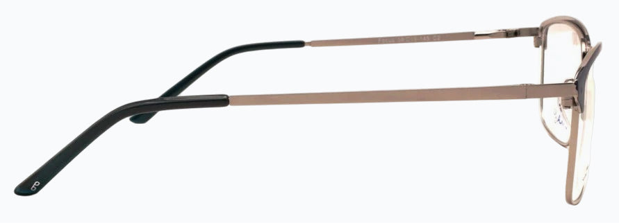 Optica Focus